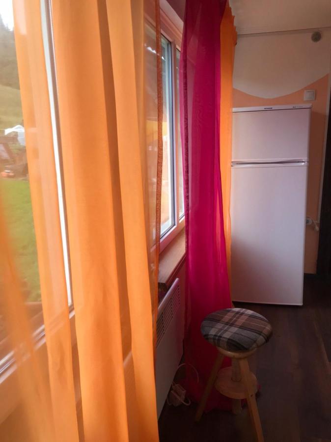 Карпатська Мавка Appartement Vorochta Buitenkant foto